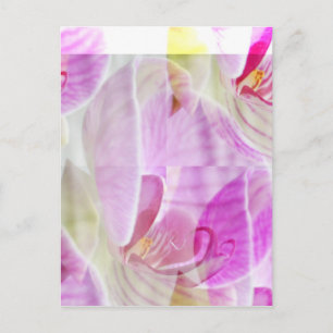 Fintvätt och vacker, Orchid-Blommigt Vykort
