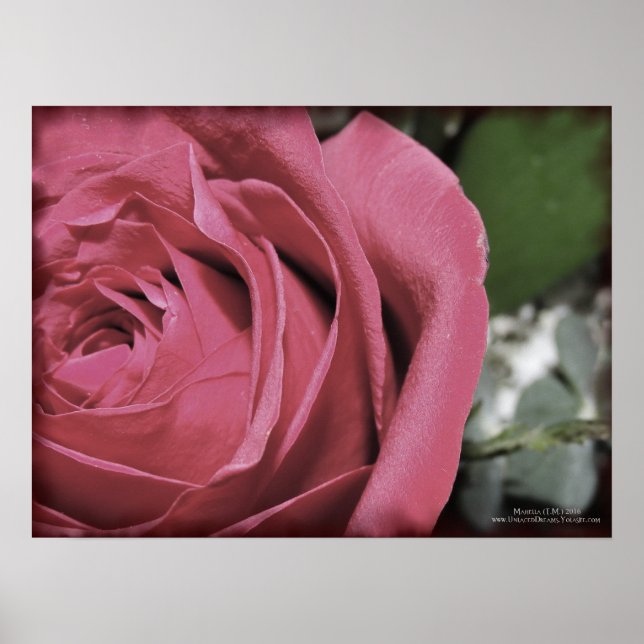 Fintvätt Poster (Framsidan)