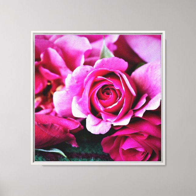 Fintvätt Rosa ros Kanvastryck (Framsida)