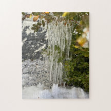 Fintvätt som hänger från en buske