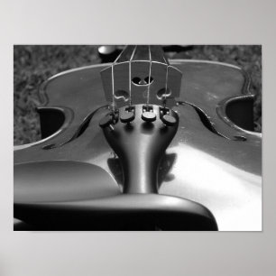 Fiol B&W Poster