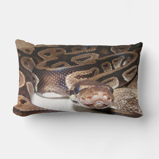 Fiona något att sägahejer lumbarkudde (Framsida)