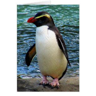 fiordland penguin hälsningskort