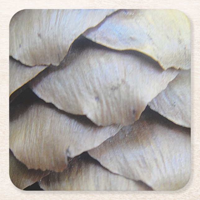 Fir Cone Mönster Underlägg Papper Kvadrat (Framsidan)