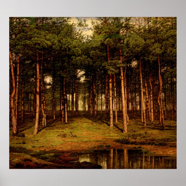 Fir Forest in Putte with Rabbits Jean Lamorinière Poster (Framsidan)