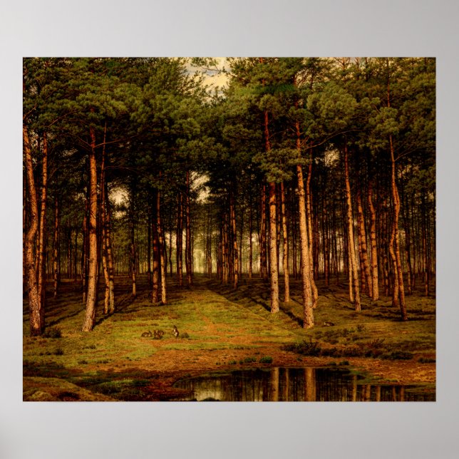 Fir Forest in Putte with Rabbits Jean Lamorinière Poster (Framsidan)