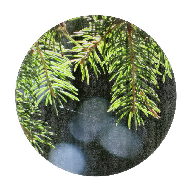 Fir gräs nål med bokeh (Framsidan)