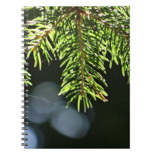 Fir gräs nål med bokeh anteckningsbok