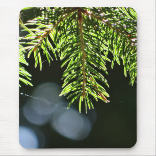 Fir gräs nål med bokeh musmatta