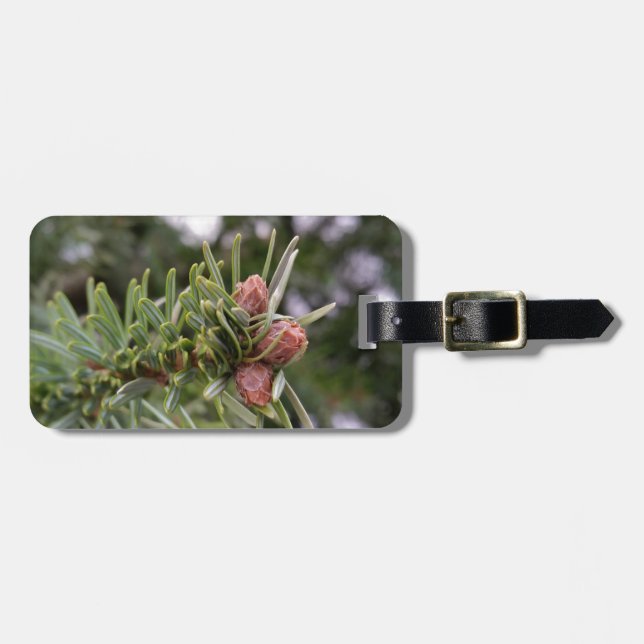 Fir-knoppar Bagagebricka (Horisontell Framsida)