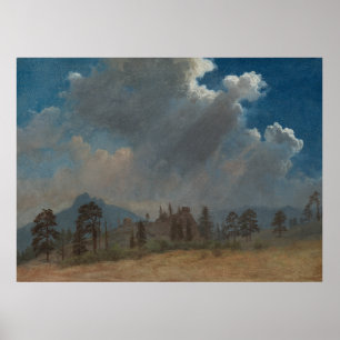 Fir Träd och Storm Clouds Poster