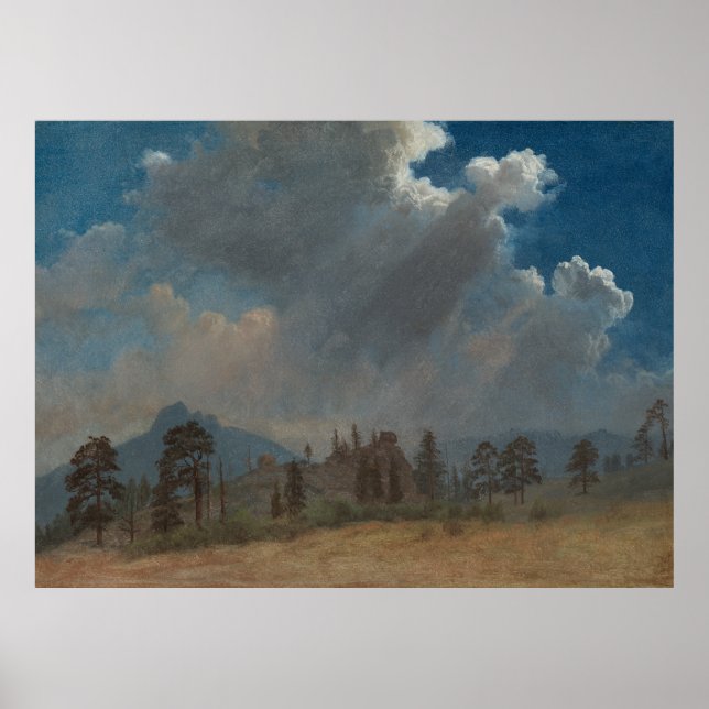 Fir Träd och Storm Clouds Poster (Framsidan)