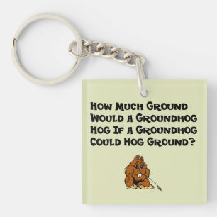 Fira den Groundhog dagen