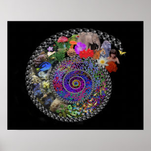 Fira evolution poster