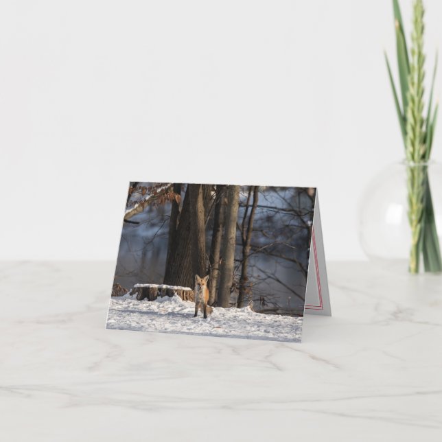 Fira Vinter Vikad Julkort Helgkort (Framsida)