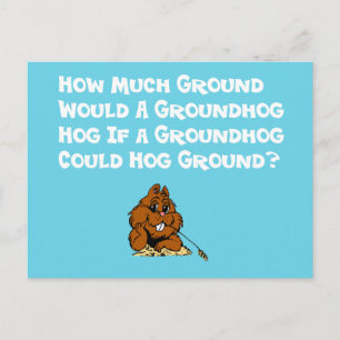 Fira vykortet för den Groundhog dagen Vykort