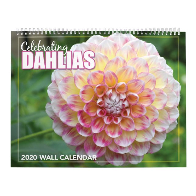 Firande av Dahlias 2020-väggskalendern Kalender (Omslag)