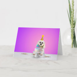 Firande-hälsningskort - tomt insida 5 x 7 kort