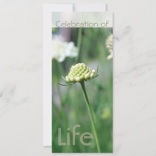 Firande i Life 2 Blommigt Liggande Inbjudningar (Framsida)