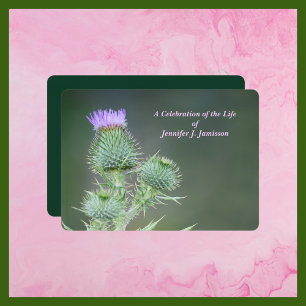 Firande i Life Rosa Wildblommor Thistle Inbjudningar