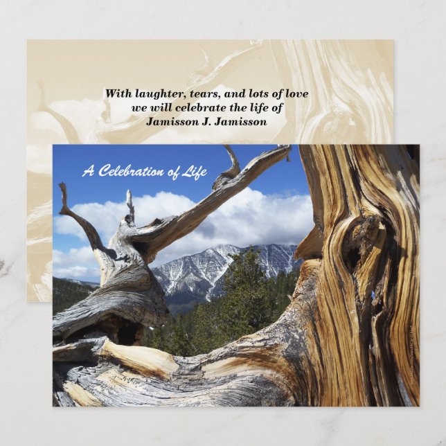 Firande i Life Snowy Mountain Thru Träd Inbjudningar (Fram/baksida)