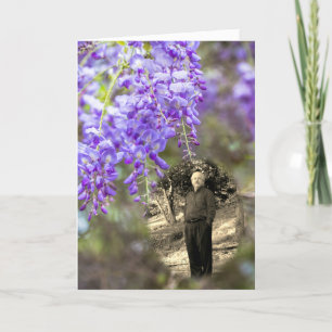 Firande i Life Wisteria Meddelande