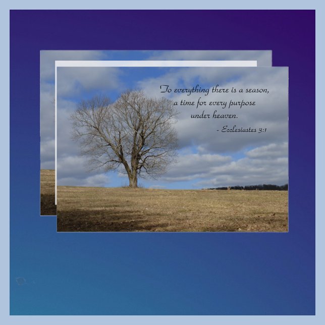 Firande i livet till allt som det finns säsong inbjudningar (Skapare uppladdad)