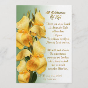 Firande i livets inbjudan Canna lilies