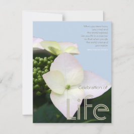 Firande med inspirationsoffert 8 inbjudningar