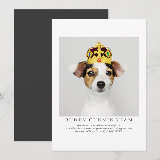 Firande of Life Simple Elegant Pet Photo Inbjudningar (Fram/baksida)