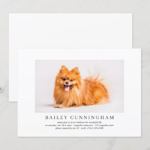 Firande of Life Simple Elegant Pet Photo Inbjudningar