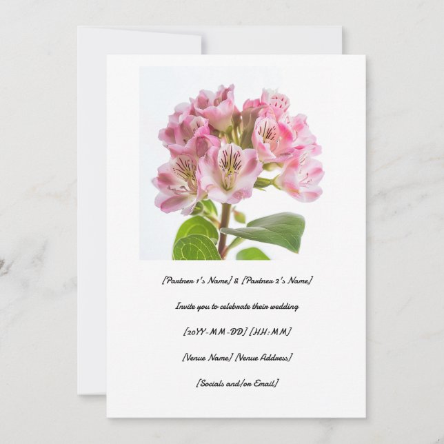 Firar din speciella dag med en trevlig kalmi inbjudningar (Framsida)