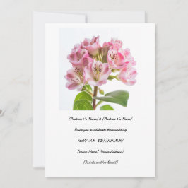 Firar din speciella dag med en trevlig kalmi inbjudningar