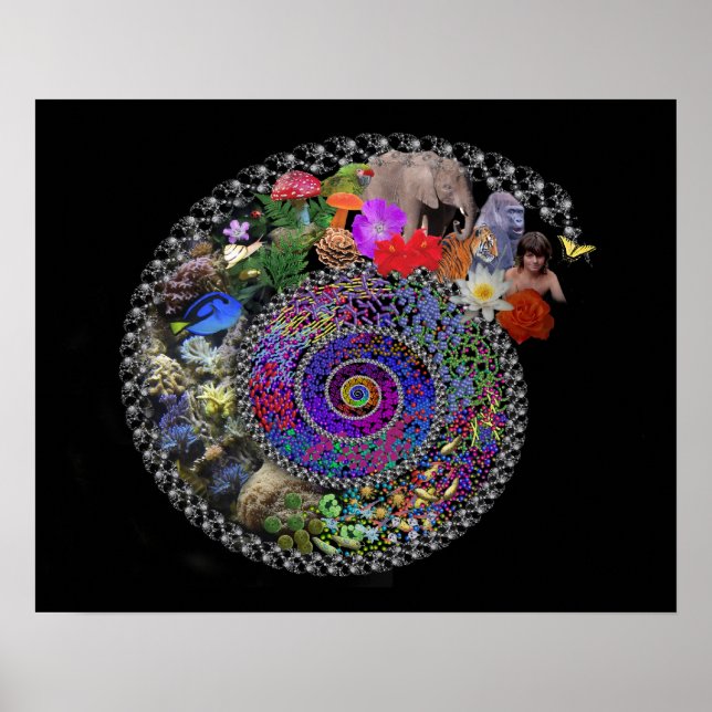 Firar Evolution Poster (Framsidan)