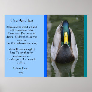 Fire and Ice Mallard Anka i Vatten Poster