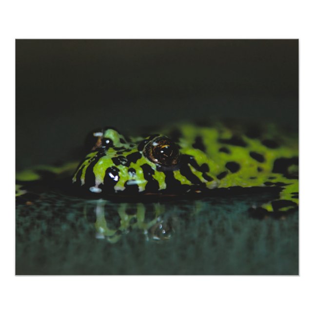 Fire Bellzed Toad SideView Fototryck (Framsidan)