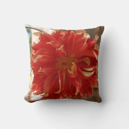 Fire Blazing Dahlia Flower Kudde