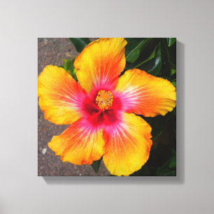 Fire Flower Canvas