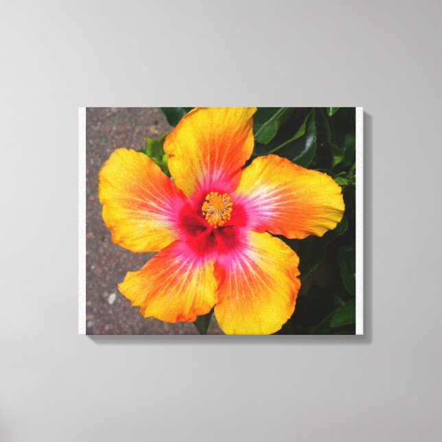 Fire Flower Canvas (Framsida)