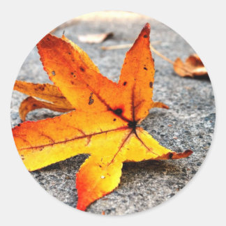 Fire Löv Runt Klistermärke