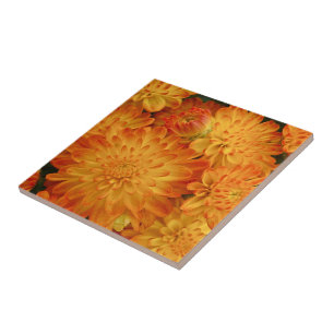 Fire Orange Chrysanthemums Kakelplatta