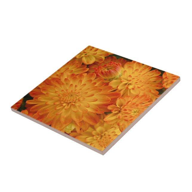 Fire Orange Chrysanthemums Kakelplatta (Sidan)