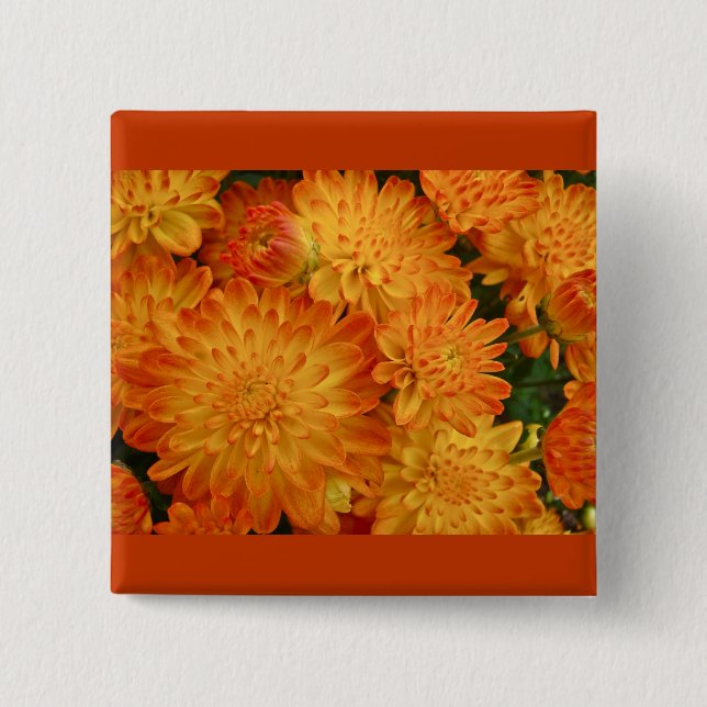 Fire Orange Chrysanthemums Knapp (Framsida)