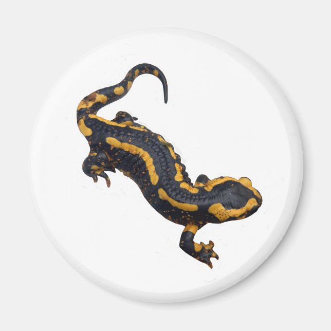 Fire Salamander Magnet (Framsidan)