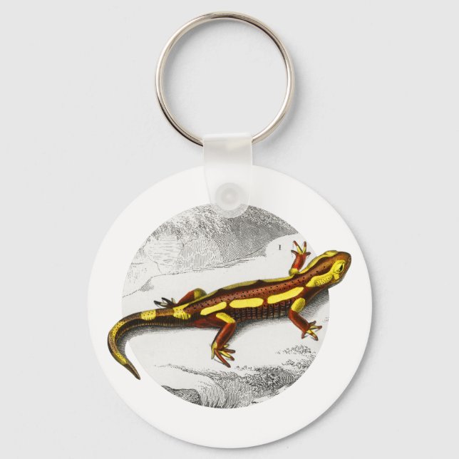 Fire Salamander - Salamandra Nyckelring (Framsida)