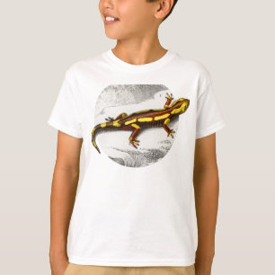Fire Salamander - Salamandra T Shirt