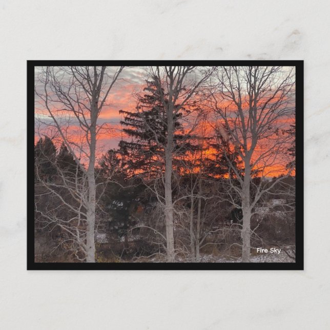 Fire Sky Through Winter Trees Vykort (Framsida)