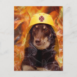 Firedog Vykort