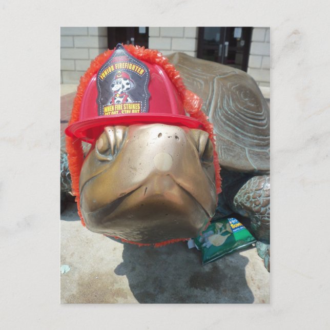 Firehat Turtle Vykort (Framsida)