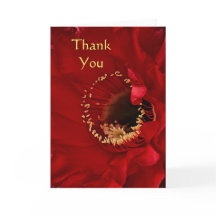 Firelight cactus Tack